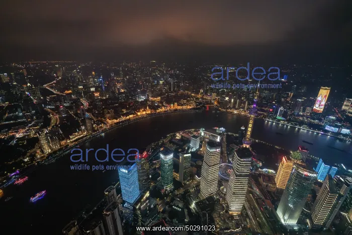 : Shanghai. Buildings in district Pudong - Shanghai - China : Shanghai. Buildings in district Pudong - Shanghai - China