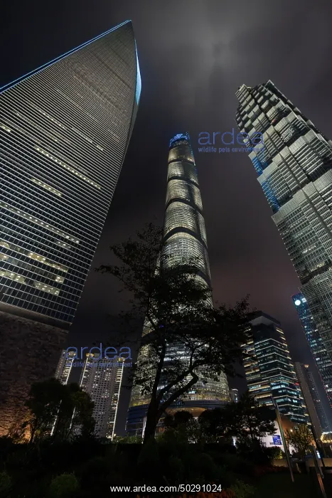 : Shanghai. Buildings in district Pudong - Shanghai - China : Shanghai. Buildings in district Pudong - Shanghai - China