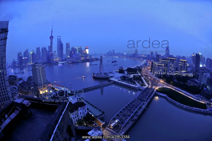 : Shanghai China - at dusk Huangpu River and oriental : Shanghai China - at dusk Huangpu River and oriental