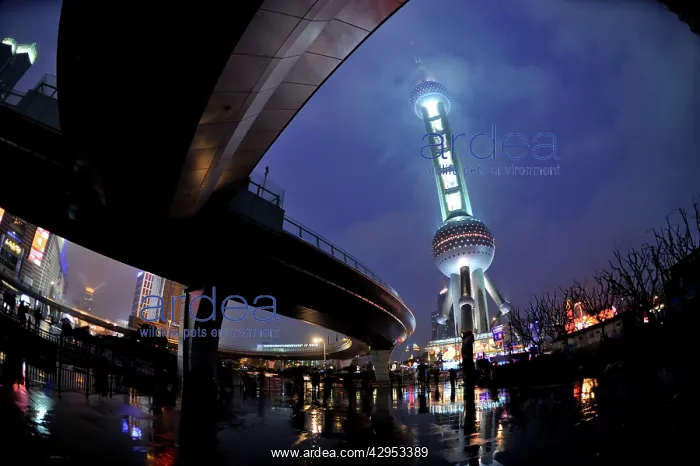 : Shanghai - Oriental pearl Tower rainy night China : Shanghai - Oriental pearl Tower rainy night China