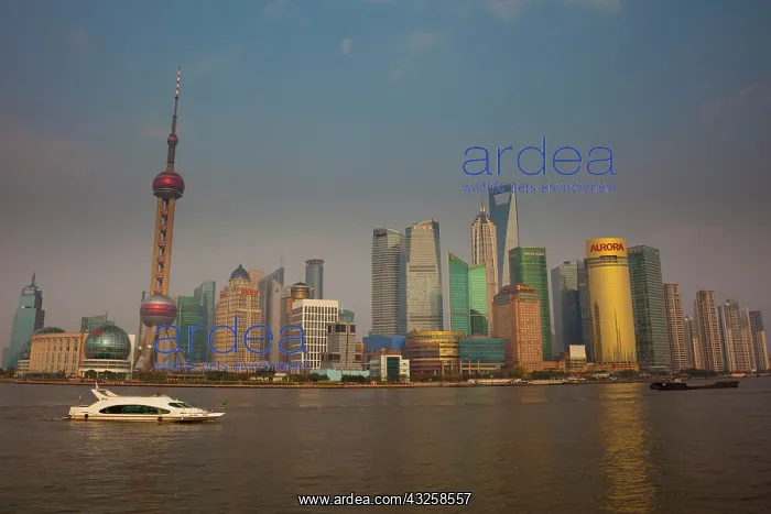  : The Shanghai Pudong New Area skyline, including