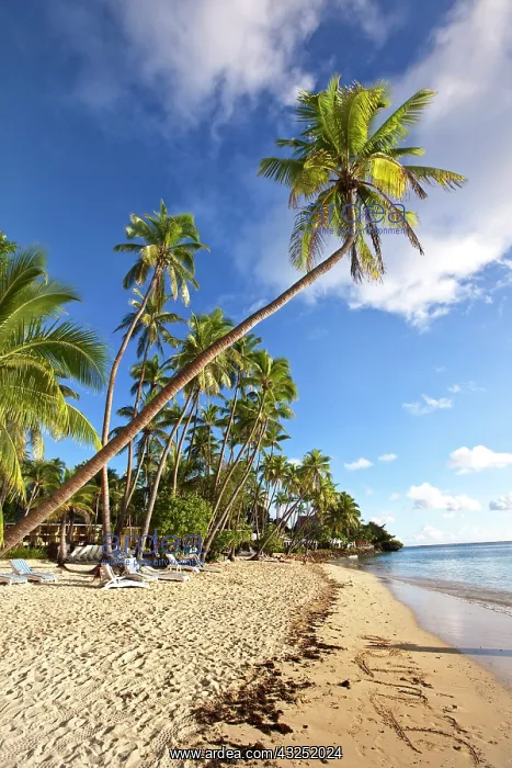 : Shangri-la Fijian Resort and Spa, Coral : Shangri-la Fijian Resort and Spa, Coral