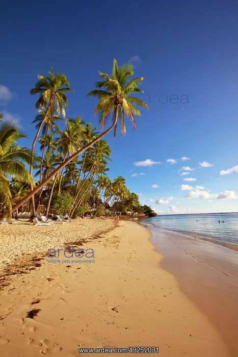 : Shangri-la Fijian Resort and Spa, Coral : Shangri-la Fijian Resort and Spa, Coral