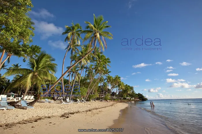 : Shangri-la Fijian Resort and Spa, Coral : Shangri-la Fijian Resort and Spa, Coral