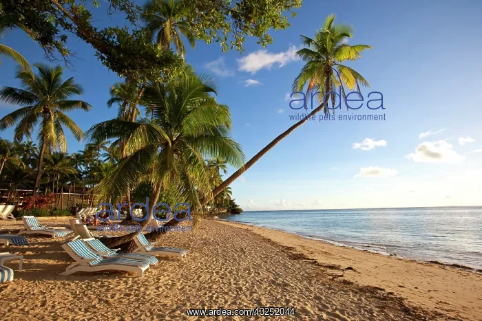  : Shangri-la Fijian Resort and Spa, Coral