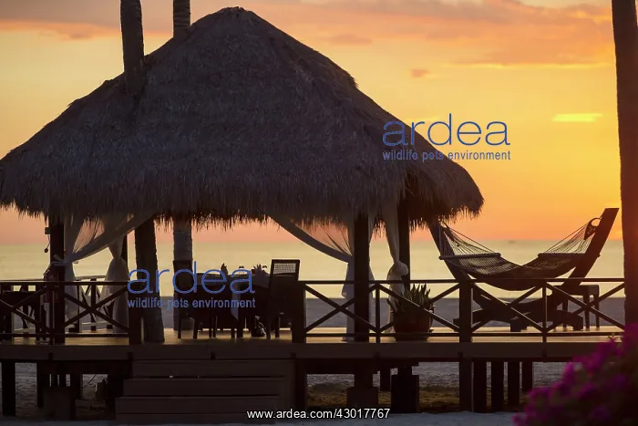  : Shangri-La Resort at sunset
