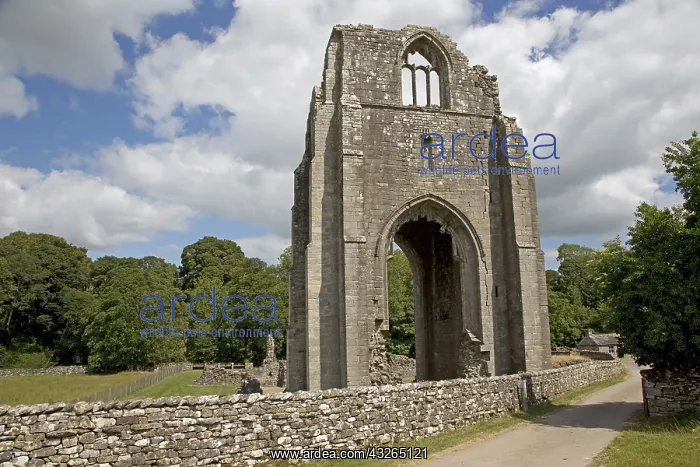 : Shap Abbey, ruins of a 12th century Christian monastery : Shap Abbey, ruins of a 12th century Christian monastery