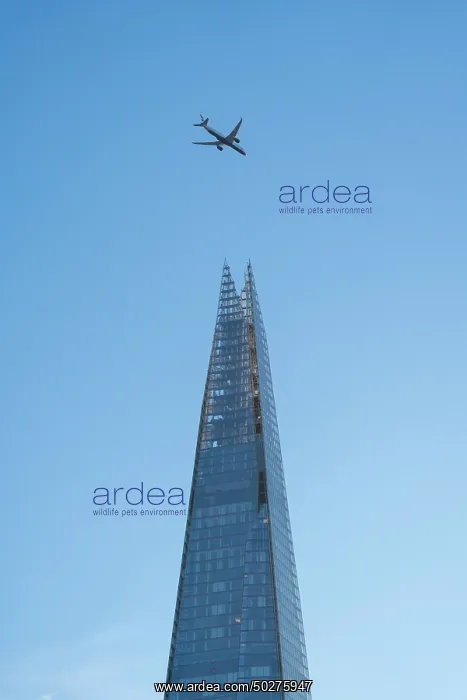 : The Shard. Skyscraper The Shard, London - England - Great Britain : The Shard. Skyscraper The Shard, London - England - Great Britain