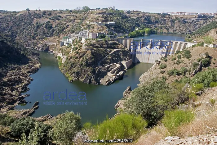 : Shared hydroelectric EDPdam at Miranda on Rio Doura : Shared hydroelectric EDPdam at Miranda on Rio Doura