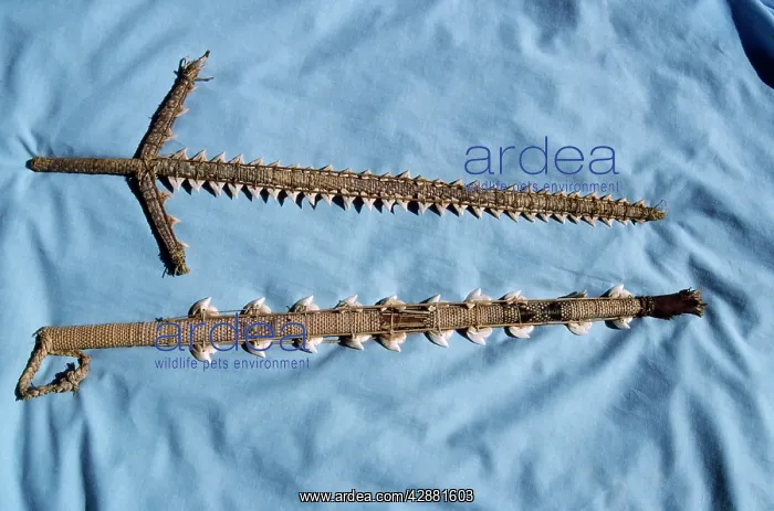 : Shark - teeth sword : Shark - teeth sword