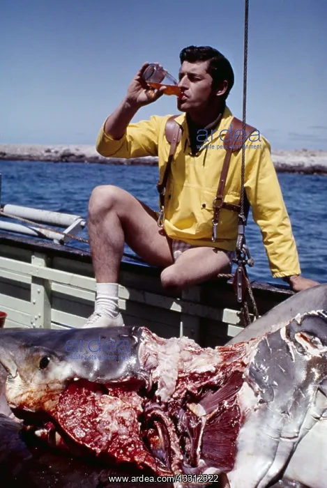 : SHARK VICTIM - lost leg in shark attack, sitting : SHARK VICTIM - lost leg in shark attack, sitting