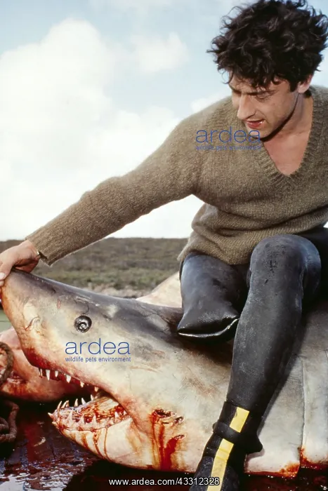 : Shark Victim - lost leg in shark attack, sitting : Shark Victim - lost leg in shark attack, sitting