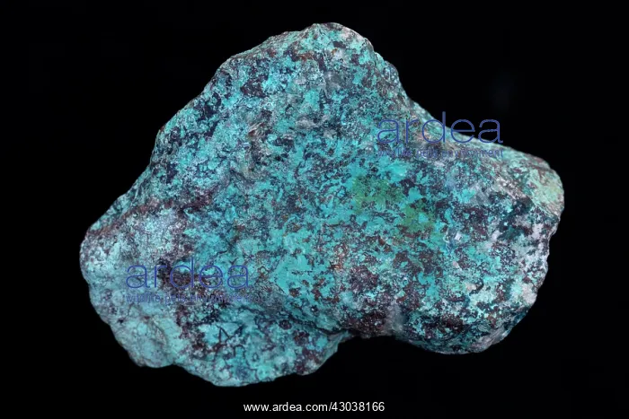 : Shattuckite Copper bearing mineral : Shattuckite Copper bearing mineral
