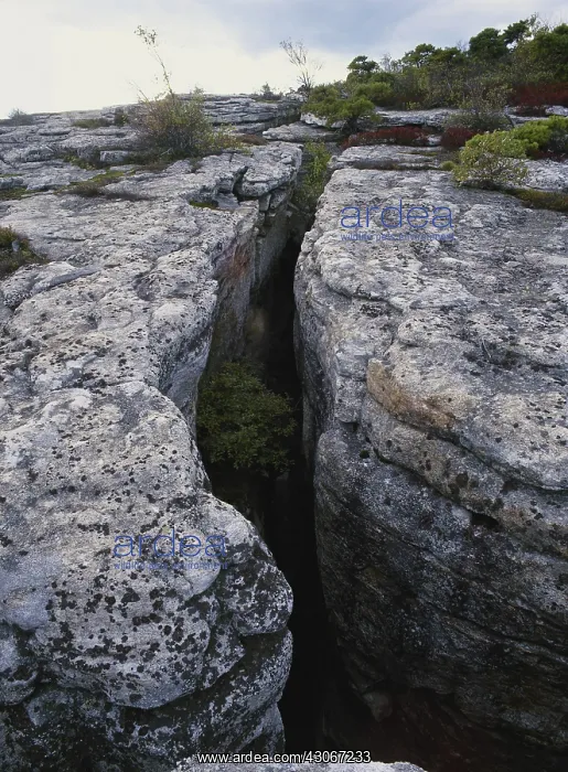 : Shawangunk Conglomerate, New York : Shawangunk Conglomerate, New York
