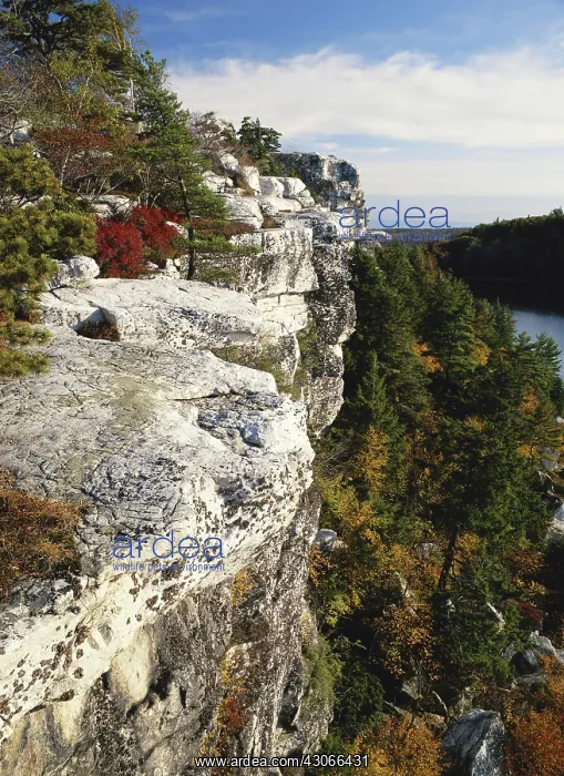 : Shawangunk Mountains, New York : Shawangunk Mountains, New York