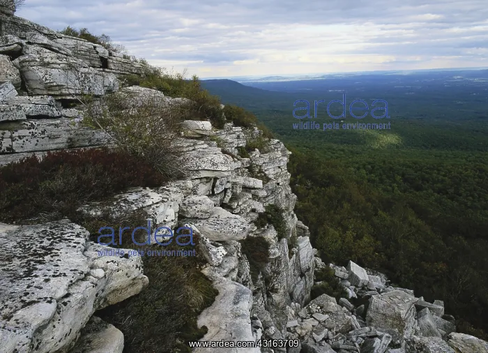 : Shawangunk Mountains, New York : Shawangunk Mountains, New York