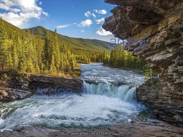 : Sheep River Falls in the Rocky Mountains of southwest Alberta : Sheep River Falls in the Rocky Mountains of southwest Alberta