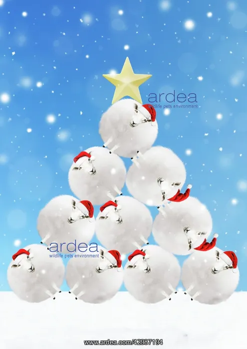 : Sheep snowballs wearing Christmas hats stacked : Sheep snowballs wearing Christmas hats stacked