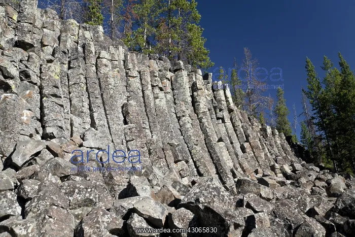 : Sheepeater Cliff : Sheepeater Cliff