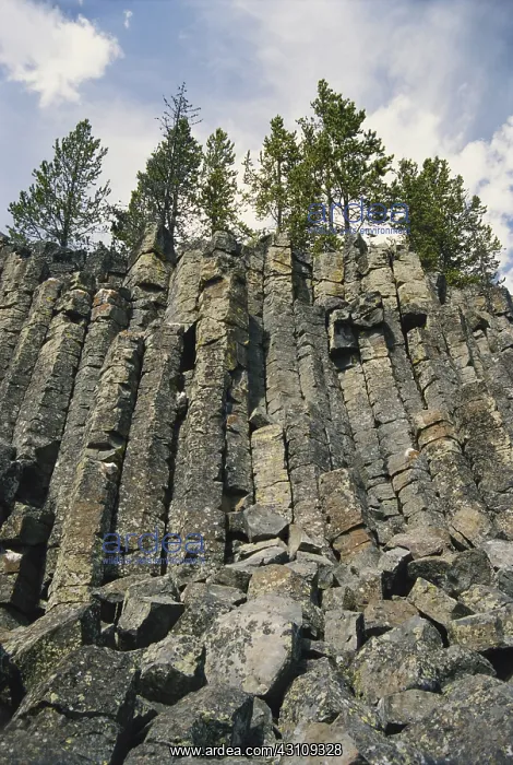 : Sheepeater Cliffs, Yellowstone : Sheepeater Cliffs, Yellowstone