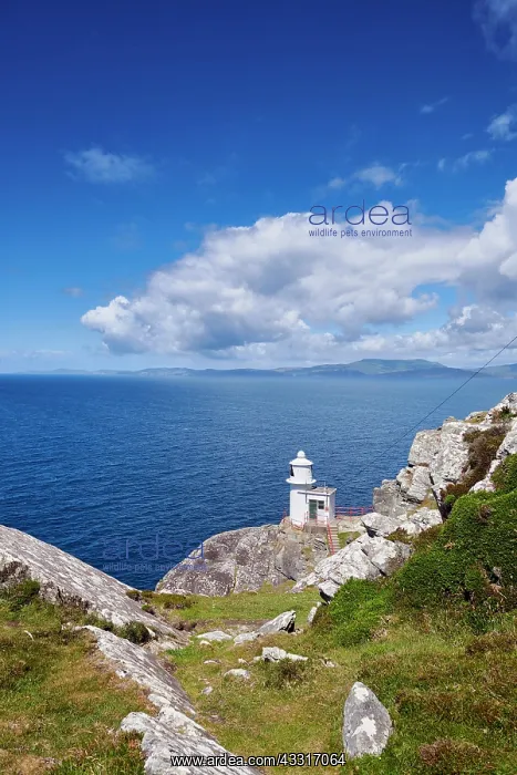 : Sheep's Head, Lighthouse, County Cork, Ireland : Sheep's Head, Lighthouse, County Cork, Ireland