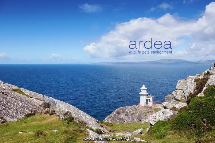 : Sheep's Head, Lighthouse, County Cork, Ireland : Sheep's Head, Lighthouse, County Cork, Ireland