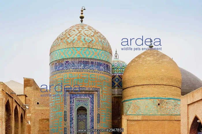  : Sheik Safi Mausoleum