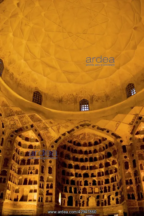  : Sheik Safi Mausoleum
