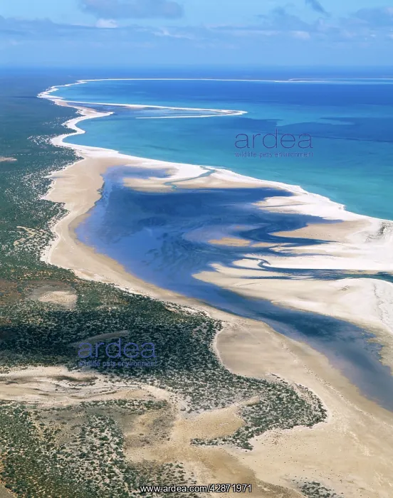 : Shell Beach along Lharidon Bight beach made of : Shell Beach along Lharidon Bight beach made of