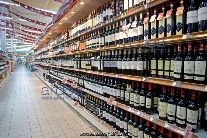 : Shelves of wine E Leclerc superstore : Shelves of wine E Leclerc superstore