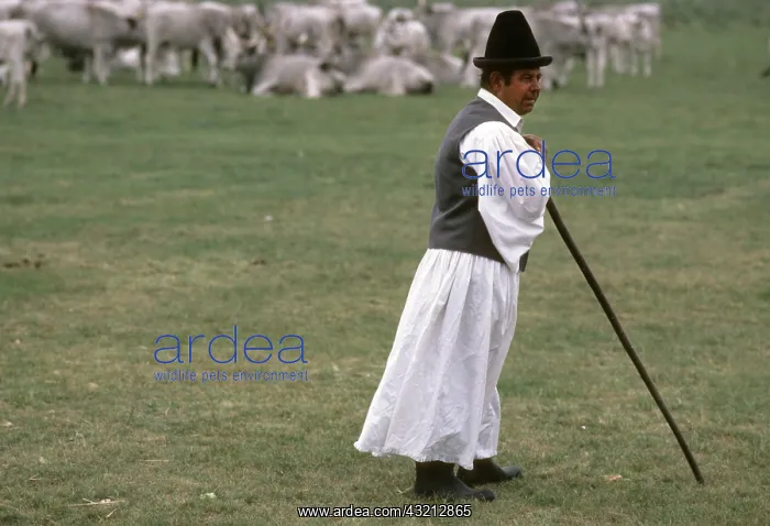 : Shepherd in traditional hungarian clothes : Shepherd in traditional hungarian clothes