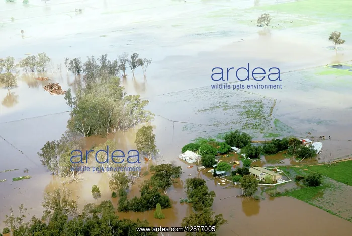 : Shepparton flood, 1993 - aerial of farm during the flood : Shepparton flood, 1993 - aerial of farm during the flood