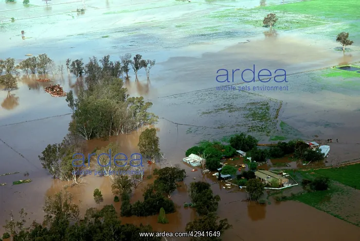 : Shepparton flood, 1993.aerial of farm during the : Shepparton flood, 1993.aerial of farm during the