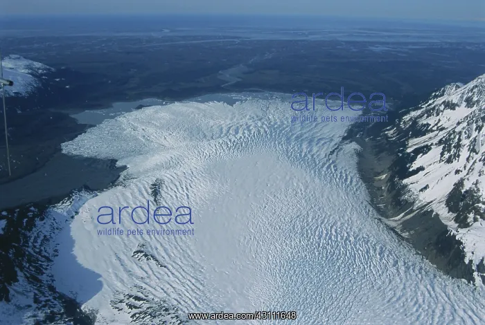 : Sheridan Glacier : Sheridan Glacier