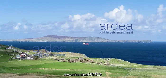  : Shetland Mainland. View over Bressay and