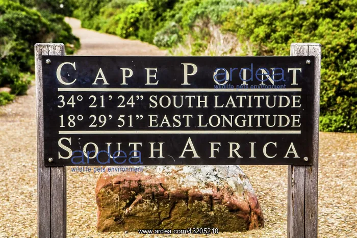 : Shield, Cape Point, Cape Peninsula, Cape Town, Western : Shield, Cape Point, Cape Peninsula, Cape Town, Western