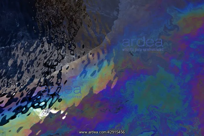 : Ship Diesel Pollution - on harbour waters : Ship Diesel Pollution - on harbour waters