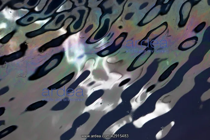 : Ship Diesel Pollution - on harbour waters : Ship Diesel Pollution - on harbour waters