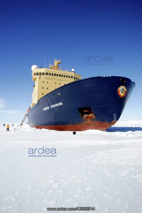 : Ship - Ice breaker Capitaine Khlebnikov in the : Ship - Ice breaker Capitaine Khlebnikov in the