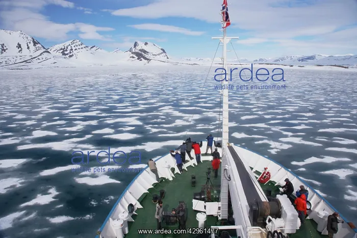 : Ship travelling through ice : Ship travelling through ice
