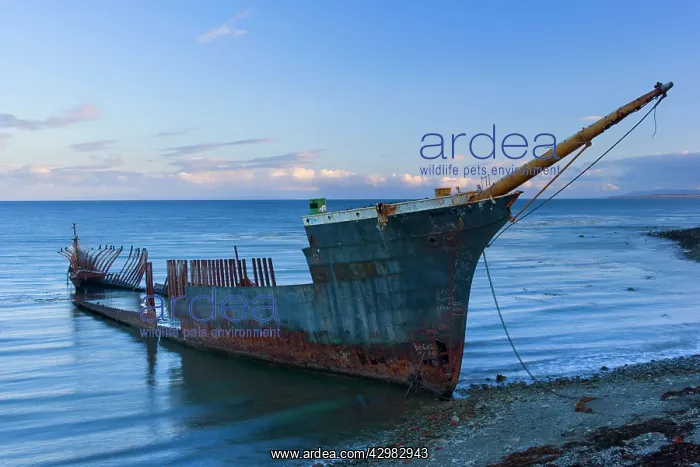 : Ship Wreck - rusted wreck of the Lord Lonsdale : Ship Wreck - rusted wreck of the Lord Lonsdale