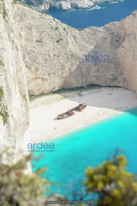 : Ship Wreck, Zakynthos, Greece, Europe : Ship Wreck, Zakynthos, Greece, Europe