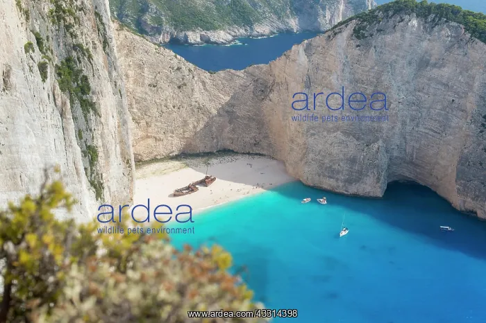 : Ship Wreck, Zakynthos, Greece, Europe : Ship Wreck, Zakynthos, Greece, Europe