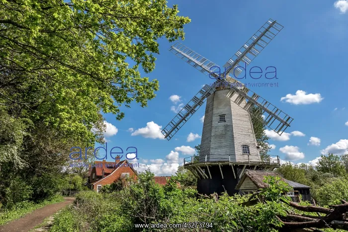 : Shipley Windmill - Knepp - UK : Shipley Windmill - Knepp - UK