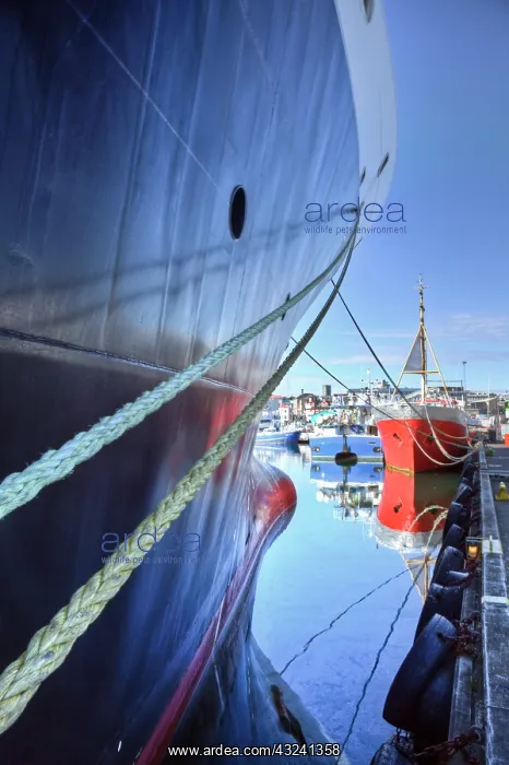 : Ships docked at Reykjavik, Reykjavik, Iceland : Ships docked at Reykjavik, Reykjavik, Iceland