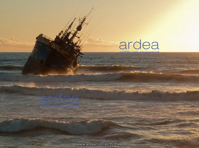 : Shipwreck - at sunset : Shipwreck - at sunset