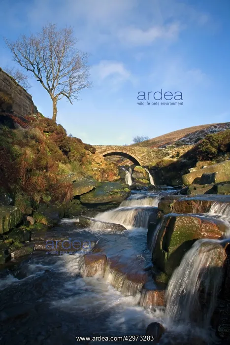 : Three Shire Head is a place where the borders of : Three Shire Head is a place where the borders of