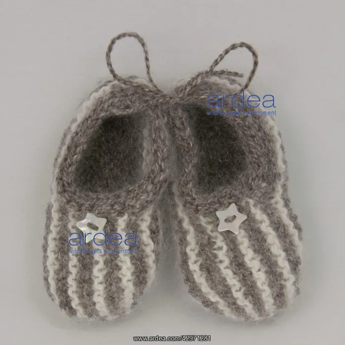  : Shoes - pair of newborn baby booties