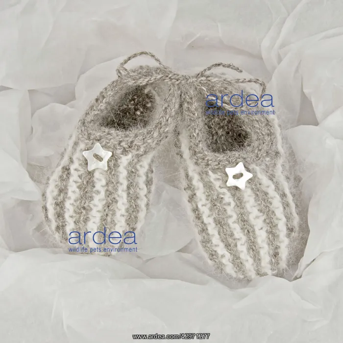 : Shoes - pair of newborn baby booties - in tissue paper : Shoes - pair of newborn baby booties - in tissue paper