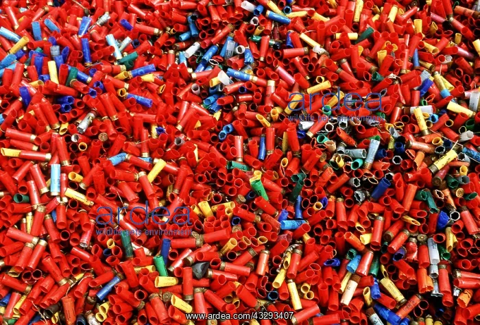: SHOOTING - empty cartridge cases at shooting school : SHOOTING - empty cartridge cases at shooting school